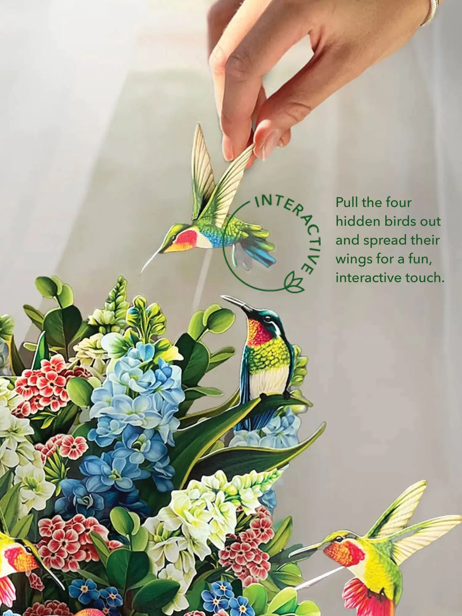 Hummingbird Oasis Pop-Up - interactive extendable hummingbirds feature